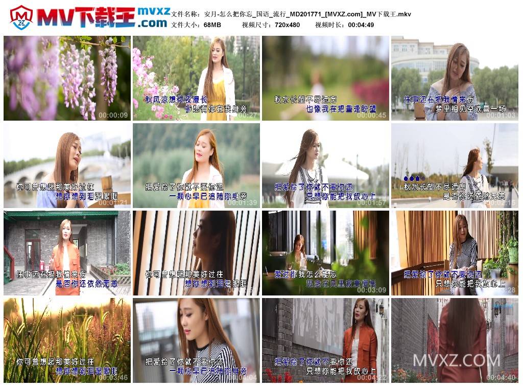 安月-怎么把你忘_国语_流行_MD201771